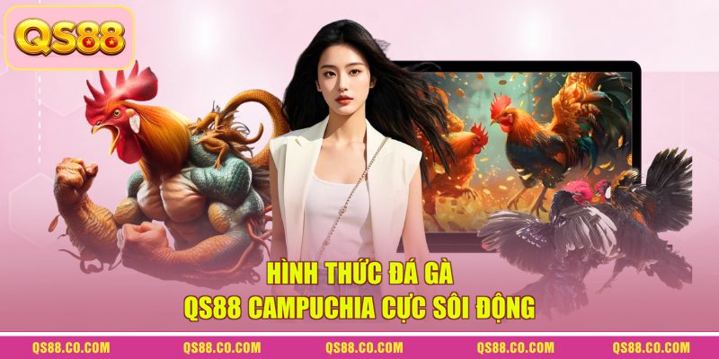 Hình thức đá gà QS88 Campuchia cực sôi động Hình thức đá gà QS88 Campuchia cực sôi động