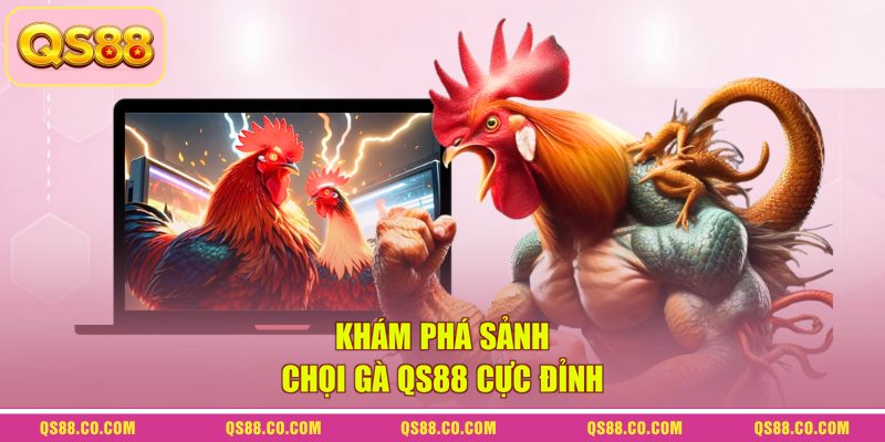 Khám phá sảnh chọi gà QS88 cực đỉnh Khám phá sảnh chọi gà QS88 cực đỉnh