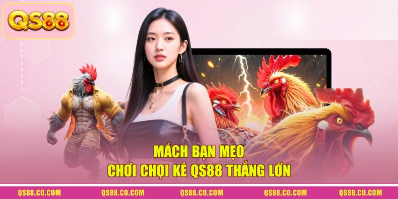 Mách bạn mẹo chơi chọi kê QS88 thắng lớn Mách bạn mẹo chơi chọi kê QS88 thắng lớn
