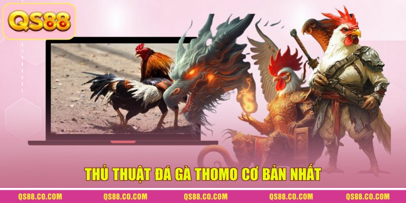Thủ thuật đá gà Thomo cơ bản nhất
