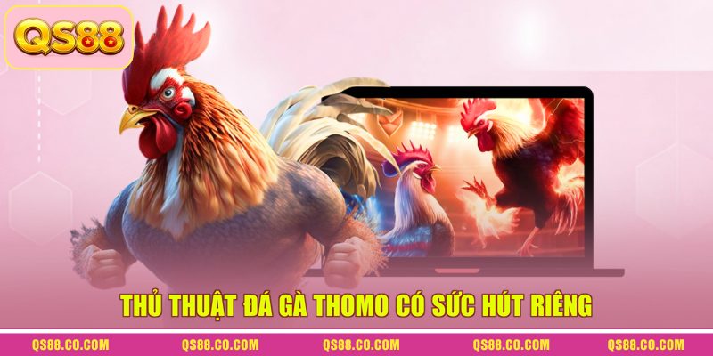 Thủ thuật đá gà Thomo có sức hút riêng