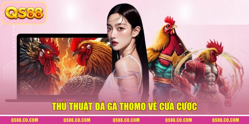 Thủ thuật đá gà Thomo về cửa cược