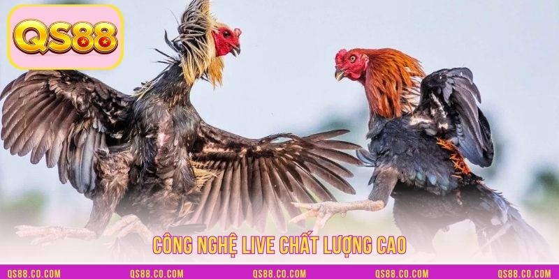Công nghệ live chất lượng cao
